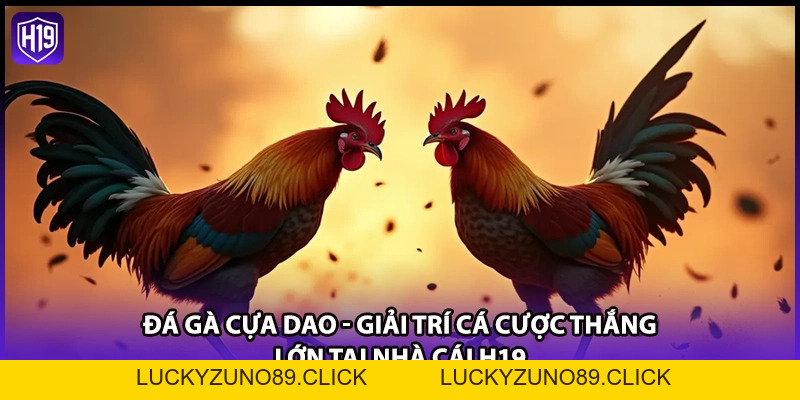 Đá Gà Cựa Dao - Giải Trí Cá Cược Thắng Lớn Tại Nhà Cái H19 - Luckyzuno89