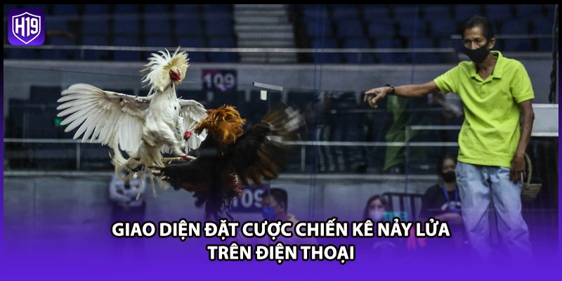 Đá Gà H19 - Xem Trực Tiếp Đá Gà Thomo Gay Cấn Nhất 2026 - Luckyzuno89