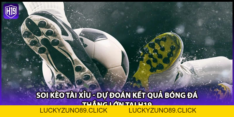 Soi Kèo Tài Xỉu - Dự Đoán Kết Quả Bóng Đá Thắng Lớn Tại H19 - Luckyzuno89