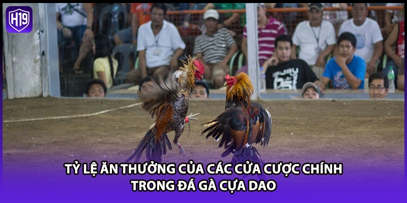 Đá Gà Cựa Dao - Giải Trí Cá Cược Thắng Lớn Tại Nhà Cái H19 - Luckyzuno89